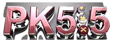 pk55 report logo